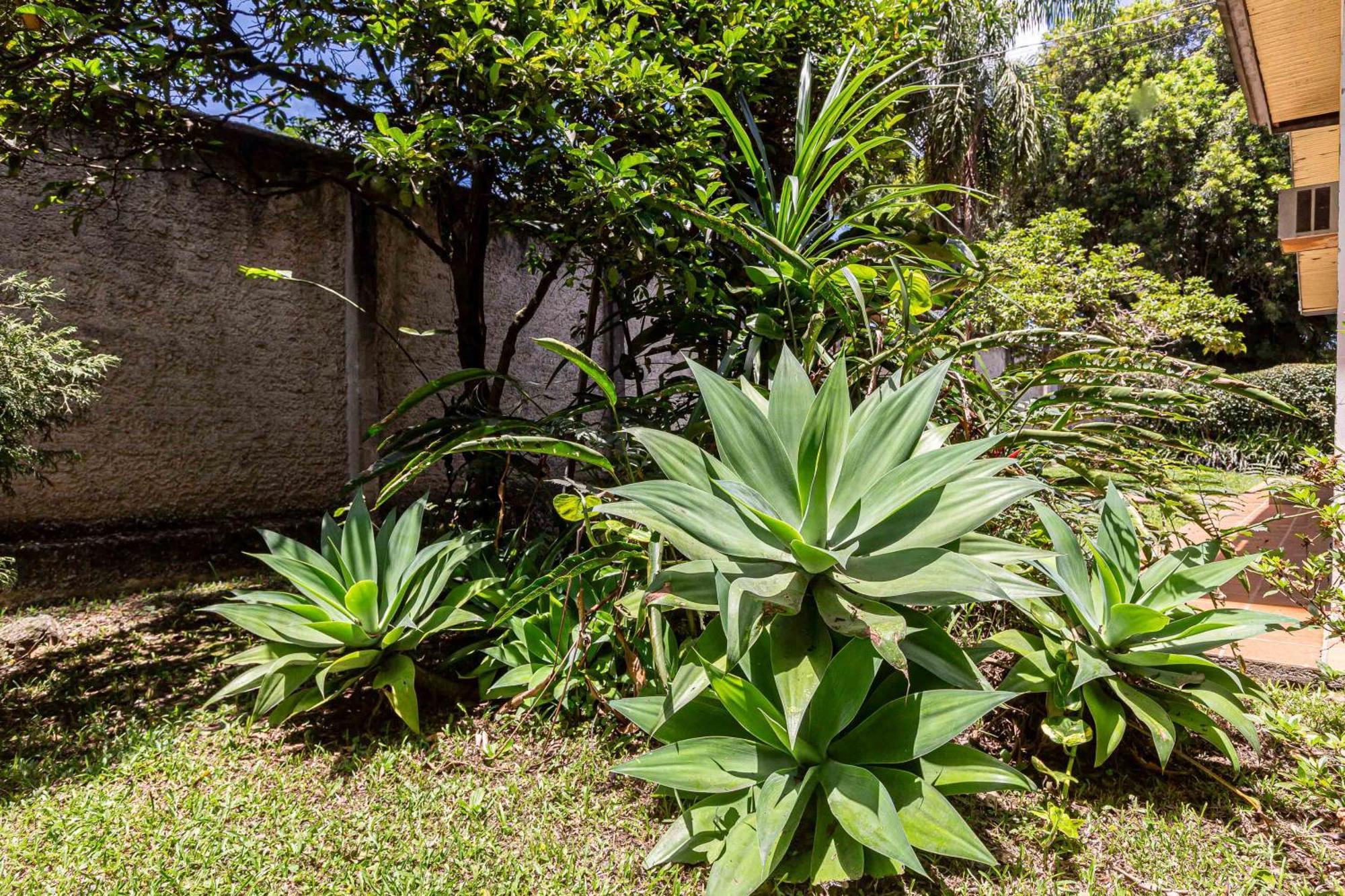 Memora Guesthouse Curitiba - Quartos Em Casa Proximo Ao Parque Bacacheri Ngoại thất bức ảnh
